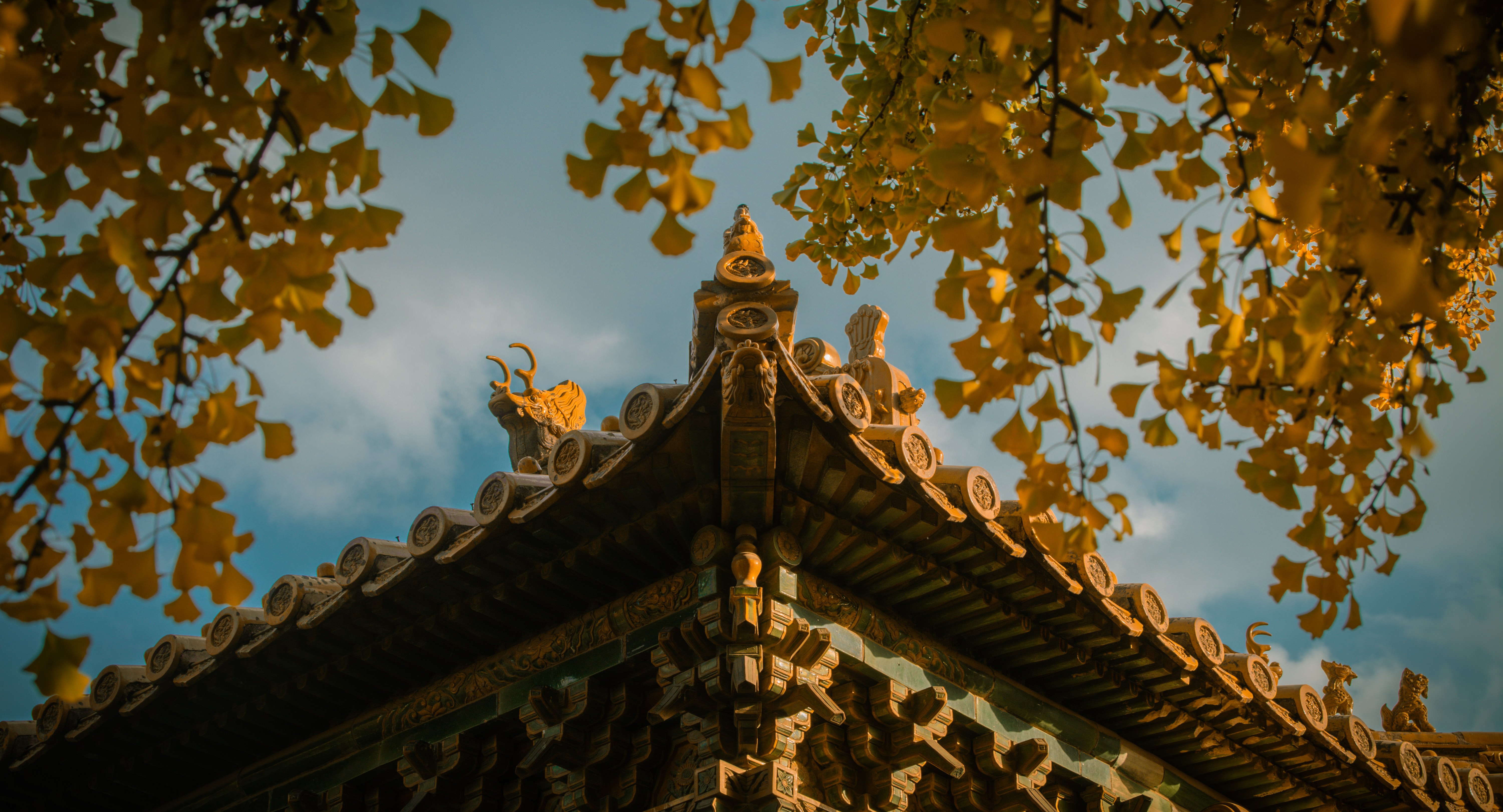 Autumn